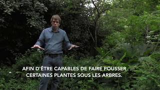 La forêtjardin de Martin Crawford en français [upl. by Dagna363]