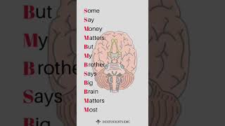 Cranial Nerves Classification  Mnemonics  shorts neuroanatomy mnemonics [upl. by Assetal]