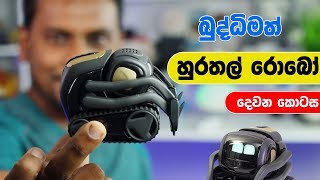 Vector Robot Explained 🇱🇰 [upl. by Elwira]