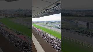 The crowd noise in the Japan Cup is INSANE [upl. by Cailean605]