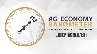 Ag Economy Barometer Breakdown July 2024 Survey [upl. by Casar615]