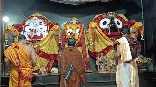 Shri Jagannath Sandhya Arati Darshan 🙏  📅 Date 16Feb2024 [upl. by Zaller18]