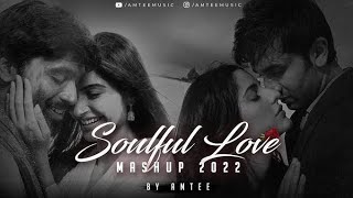 Love Mashup song 2024 New Hindi songs Amtee  Arijit Singh  AR Rahman [upl. by Ytisahcal642]