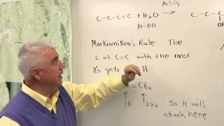 Reactions of Alkenes [upl. by Ocicnarf]