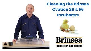 Cleaning the Brinsea Ovation 28 amp 56 Egg Incubators [upl. by Aggy535]