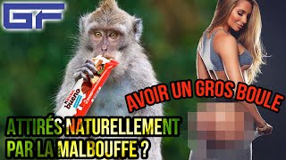 Alimentation instinctive gros BOULE et titine  3 théories sportives [upl. by Aliahs78]