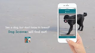 Dog Scanner  1 Dog Breed Identification [upl. by Nord305]