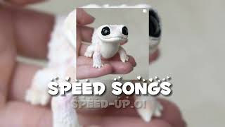 Speed Songs 1 [upl. by Hanavas]