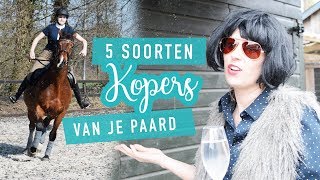 5 soorten kopers van je paard  SKETCH [upl. by Brackett]