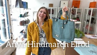 Anya Hindmarch Elrod Bag Review [upl. by Ailsun547]