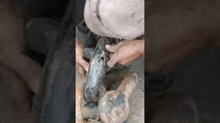 HOW TO DISMANTLE KENTER SHACKLE AND INSTALL INTO THE CHAIN LINK [upl. by Vassell]