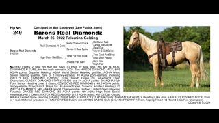 Pitzer Ranch Fall Sale 2024 Lot 249 BARONS REAL DIAMONDZ [upl. by Allenotna889]