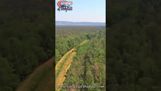 Old Hockenheim Today  Drone over Jim Clark Chicane and Straight [upl. by Hachman]