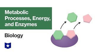 Metabolic Processes Energy and Enzymes  Biology [upl. by Atinreb802]