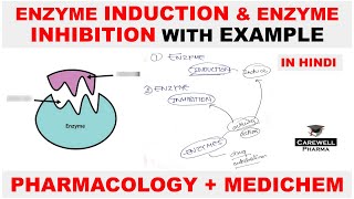 Enzyme Induction  Enzyme Inhibition  Pharmacology  Medicinal Chemistry  Carewell Pharma [upl. by Erehc]