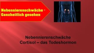 Nebennierenschwäche  Cortisol das Todeshormon  GANZMEDIZIN Naturheilpraxis [upl. by Aronoh382]