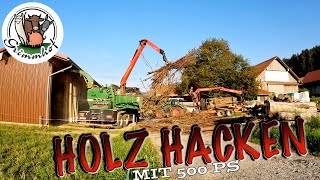 FarmVLOG299  Holzhacken im Sommerloch [upl. by Haletky781]