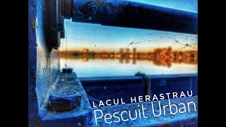 Pescuit Urban  Lacul Herastrau [upl. by Ylak]