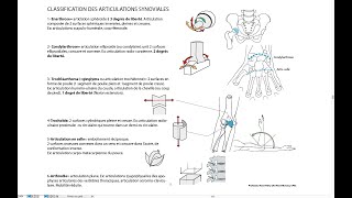 21Classification des diarthroses [upl. by Yelekreb259]