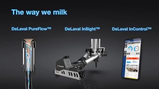 DeLaval VMS™ V300  Unlock the True Potential of Voluntary Milking  DeLaval [upl. by Nabroc]