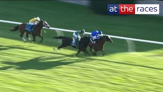 What a finish Master Of The Seas DENIED by Up To The Mark in the Coolmore Turf Mile at Keeneland [upl. by Reteip]