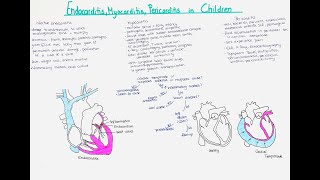 Endocarditis Myocarditis amp Pericarditis in Children cardiac tamponade [upl. by Virgil]