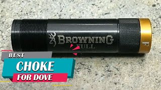 Top 5 Best Chokes for Dove amp Duck HuntingTrap Shooting in 2024 Review  Extended Choke Tube [upl. by Rance]