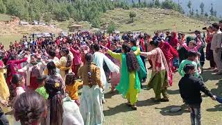 bhaderwahi dholbhaderwahi marriage dhol desidhol [upl. by Wilie17]