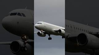 From Lisbon White A320 Landing Lajes Terceira Azores shorts [upl. by Atirb915]