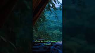 Camping Tent Rain Sounds for Sleep  Relaxing Nature White Noise [upl. by Eelreveb]