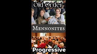 The Mennonite Range From Old Order to Most Progressive [upl. by Ummersen916]