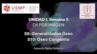 Diagnóstico por Imagen – Sesión 5 – Sarayl Saldaña – 20241 [upl. by Lj850]