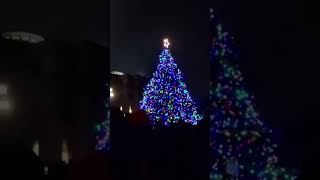 2024 Idaho Capitol Christmas Tree Lighting christmas shorts [upl. by Whalen]