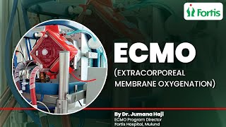 ECMO  Extracorporeal Membrane Oxygenation  ECMO Machine amp Treatment  MUL [upl. by Subir58]