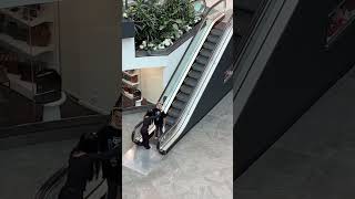 Oscar Piastri fell off an escalator shorts [upl. by Koffler762]