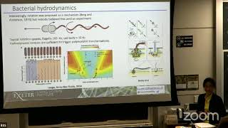 Outofequilibrium dynamics and organization of active filaments I  K Wan July 10 BSS 2024 [upl. by Kevon813]