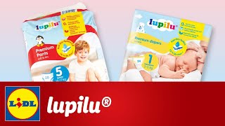 Oferta lupilu • din 24 Octombrie 2024 [upl. by Enyledam687]