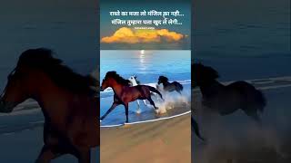 Horse status horse status video horse status attitude horse horse shorts horse shayari status [upl. by Parshall]