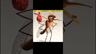 Why Mosquitoes Bite 😱 Most Dangerous Insect in The World  MOSQUITO  shorts short [upl. by Stockton]