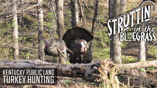 S3 E5  Kentucky Public Land Turkey Hunting [upl. by Ramiah129]