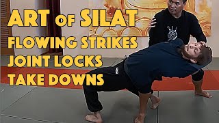 Silat Strikes and Finishes  Silat Suffian Bela Diri [upl. by Allister334]