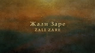 Žali Zare  Serbian Song [upl. by Sparks921]