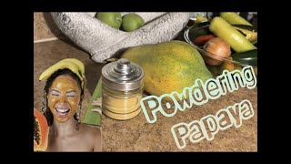 DIY Papaya Powder for Healthy Glowing Skincare 😍🔥😉 [upl. by Rape191]