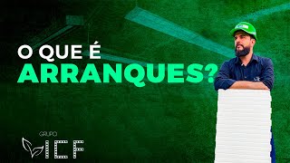 Qual a funcionalidade dos arranques [upl. by Ibib]