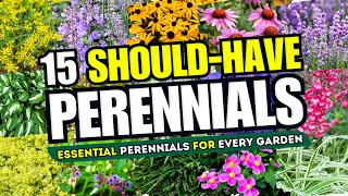 Top 15 Perennials Every Garden SHOULD HAVE 💫 Essential Plants Your Garden Cant Do Without 🌻 [upl. by Drhacir741]