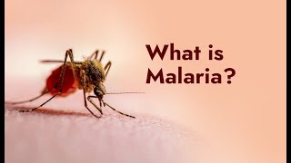 Malaria fever Treatment malaria malariatreatment fever malariaawareness malariaprevention [upl. by Irby646]