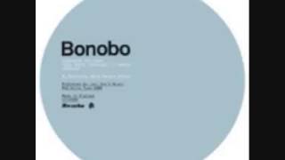 Bonobo Ft Bajka Between The Lines Nostalgia 77 Remix [upl. by Jeffrey431]