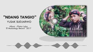 Yusak Sudjarwo  Ndang Tangio Official Audio [upl. by Yecies963]