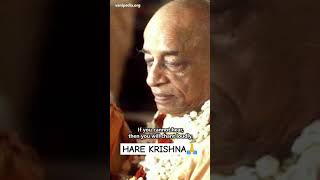 Keep Chanting Hare Krishna Mahamantra ll Attentive chanting ll JAI SRILA PRABHUPADlove iskcon [upl. by Elvah465]