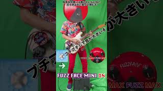 FUZZ FACE MINI 君の魅力だ！ ファズフェイスマン ギター guitar fuzzface [upl. by Alrad]